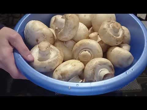 Видео: КАК ПРАВИЛЬНО ЗАМОРОЗИТЬ ГРИБЫ😊. ЗАГОТОВКА ГРИБОВ.ГРИБЫ НА ЗИМУ.