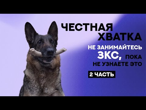 Видео: Не занимайтесь ЗКС (Защитно-караульной службой) пока не посмотрите это видео. Честная хватка. Dogs.
