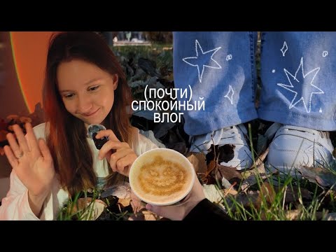 Видео: неудачи в поисках работы и тихие осенние дни 