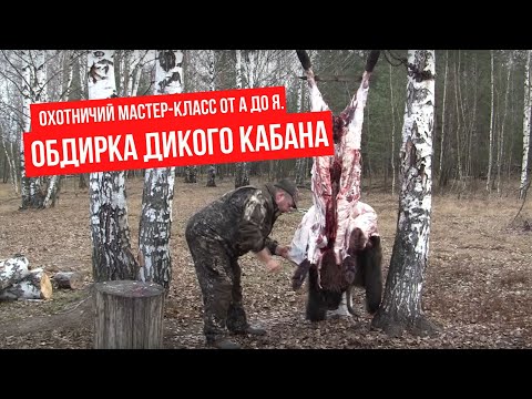 Видео: Охотничий Мастер-класс от А до Я. Обдирка дикого кабана
