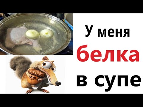 Видео: Приколы! У МЕНЯ БЕЛКА В СУПЕ - МЕМЫ!!! Смешные видео от – Доми шоу!