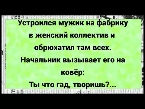 Видео: Как Мужик с Бабами на фабрике работал. Сборник свежих анекдотов. Юмор.