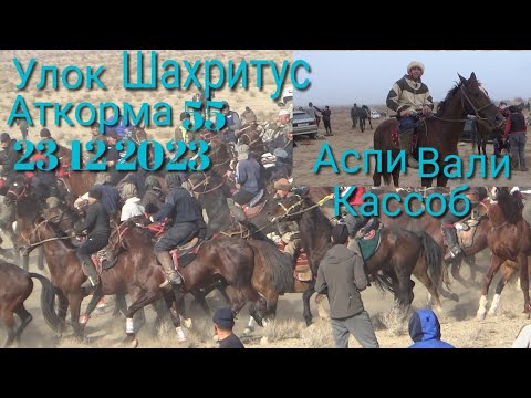 Видео: Улок Шахритус Аткорма 55 кишлогида улок 23 12 2023 лаек патписка унутманг