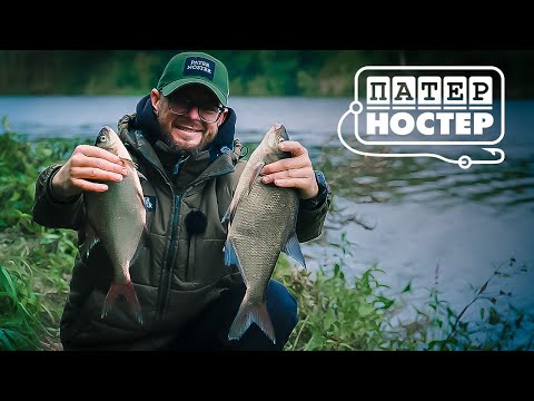Видео: Поймать когда не клюет! Ловля на Фидер. Патерностер. Серия 12.