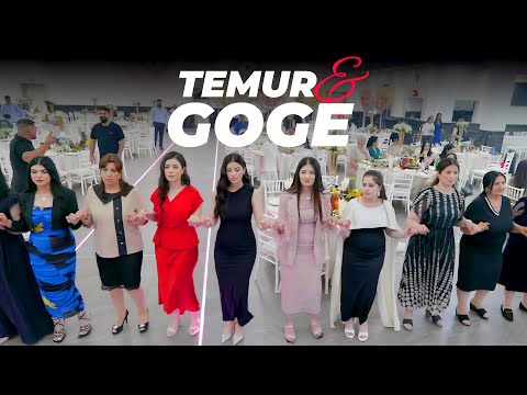 Видео: Temur & Goge // Dawata Ezdia 2024 // Езидская свадьба PART 2