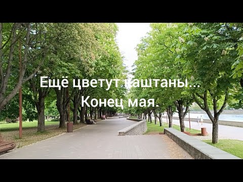 Видео: Конец мая. Цветут каштаны. Прогулка. Остров Канта.