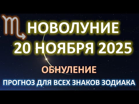 Видео: 🌙НОВОЛУНИЕ♏️ | 20 ноября | Прогноз для всех знаков