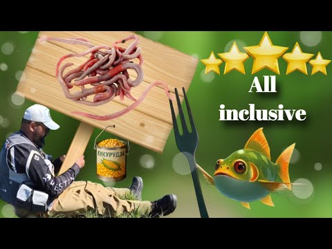 Видео: Топ Форелевих приманок весна 2025!🎣