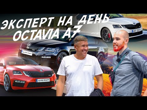 Видео: НАЙТИ ЗА ДЕНЬ ЖИВУЮ SKODA OCTAVIA A7! АВТОПОДБОР #autofact