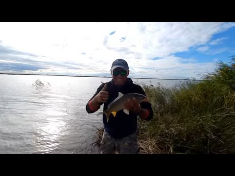 Видео: Куланотпес, выехали за щукой, наловили карпов