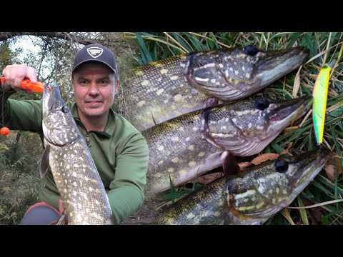 Видео: ✅Цей БЮДЖЕТНИЙ воблер творить дива😍! Пасивна ЩУКА! Працювала тільки проводка В'ЯЛОГО твічингу!