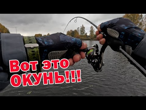 Видео: ТАК ВСЕГДА КЛЮЁТ!!! ЛУЧШИЕ ПРИМАНКИ НА ОКУНЯ!!! РЫБАЛКА С CF Strike 672 ULT 1.5-7гр.