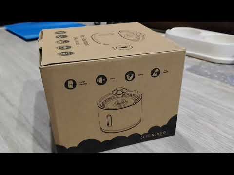 Видео: Все питомцы канала домашние pets