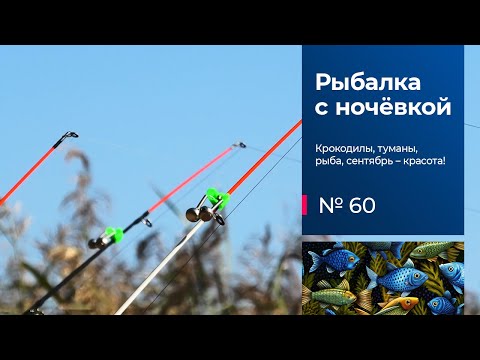 Видео: 60 / Рыбалка с ночёвкой / Донки / Спиннинг / Иваньковское вдхр. / Волга / Сентябрь