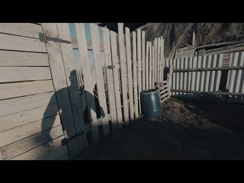 Видео: Влог 1. 
