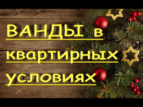 Видео: ВАНДЫ в КВАРТИРНЫХ условиях:ПОЛИВ,свет,УДОБРЕНИЯ.Ванды на стеллаже.Орхидеи.