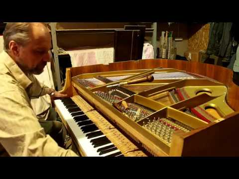 Видео: Реставрация рояля Zimmermann 135  Л.Ивенс "Make It Last Forever"