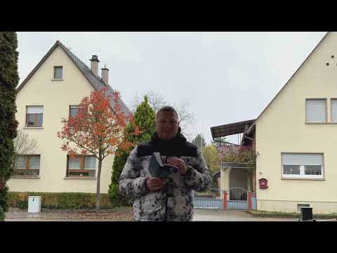 Видео: Встреча Творца сегодня /1182/ Мария говорит практические вещи