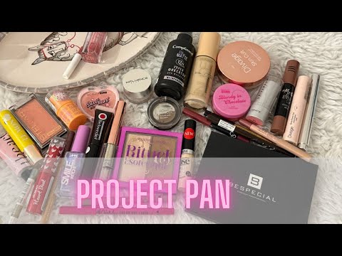 Видео: Project Pan 2025 ♻️| Пятый отчет #projectpan #проджектпен