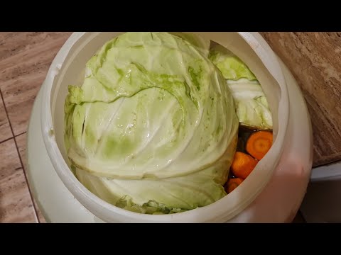 Видео: НАКЛАДОХ СИ ЗЕЛЕТО 🥕