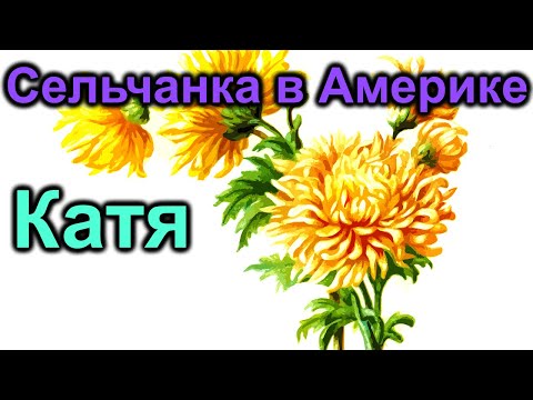 Видео: Сельчанка в Америке. Катя