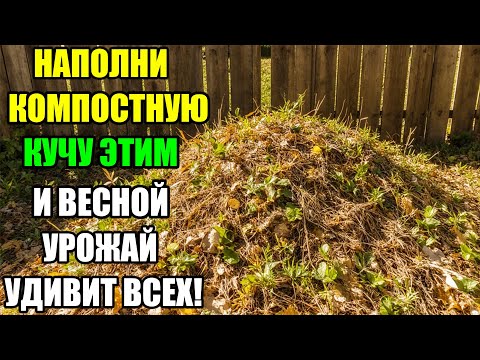 Видео: ЗАСЫПЬ ЭТО — И КОМПОСТ БУДЕТ ГОТОВ К ВЕСНЕ!