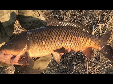 Видео: РЫБАЛКА В ТУРГАЕ, ЛОВИМ ЩУКУ И ОКУНЯ НА СПИННИНГ, ЭТИ ГОЛОДНЫЕ МАМЫ ГЛОТАЮТ НАШИ ПРИМАНКИ ДО ПУЗА!