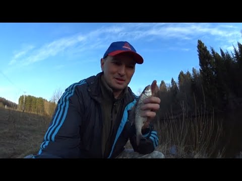 Видео: Рыбалка весной 2021. Ловля на ФИДЕР/ПИКЕР на малой речке