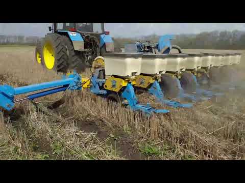 Видео: No-till посів кукурудзи.попередник пшениця