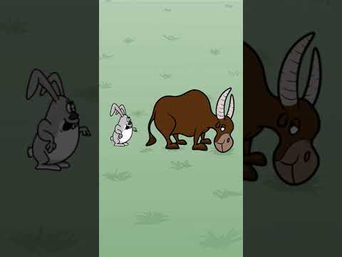 Видео: Заяц и бык #мультфильмы #анимации #прикол #животные