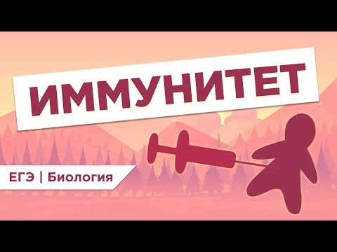 Видео: Как устроен ИММУНИТЕТ человека l ЕГЭ Биология | Даниил Дарвин | Вебиум