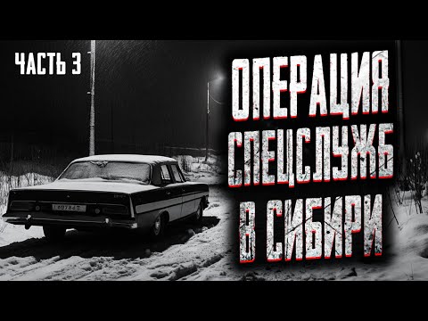 Видео: СПЕЦСЛУЖБЫ ПРОТИВ СЕКТЫ! Страшные истории на ночь. Мистика. Страшилки на ночь.