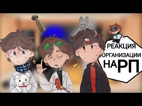 Видео: (2 часть) реакции Организации на Рандомные приключения(Лайя, Аса, Кацпер, Олли)