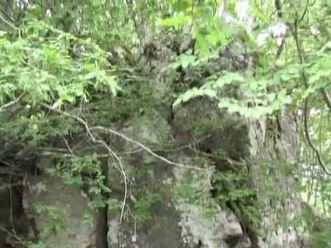 Видео: Devin, 2/4, Девин, Родопите