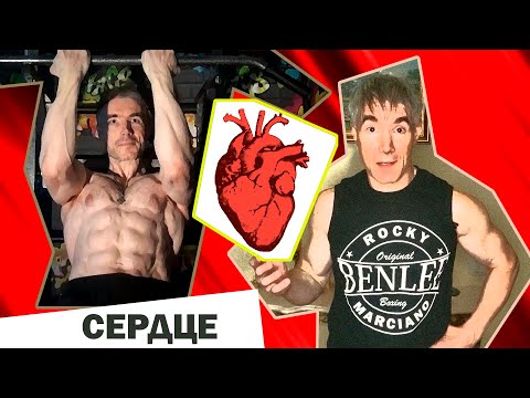 Видео: Как НЕ ПЕРЕГРУЖАТЬ СЕРДЦЕ на тренировке: 2 способа