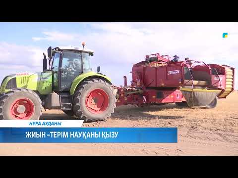 Видео: Жиын – терім науқаны қызу