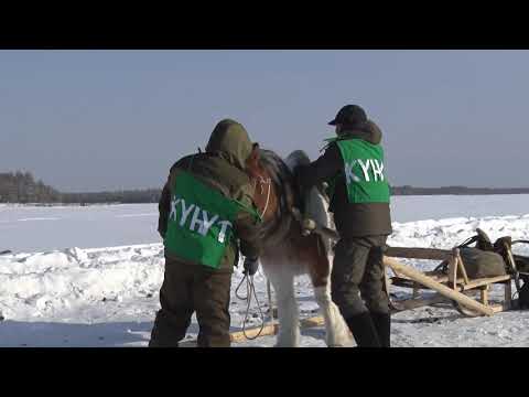 Видео: "Дьөһөгөҋ оҕото -2021". Боотулуу