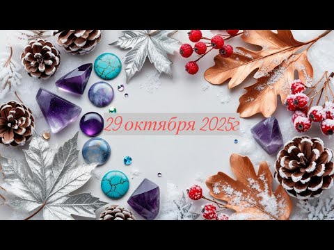 Видео: Новое поступление 29-10-2025