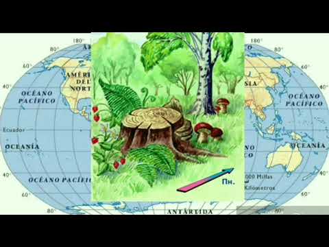 Видео: Глобус, карти та сторони світу. Відео для дітей. / Globe, maps and sides of the world.