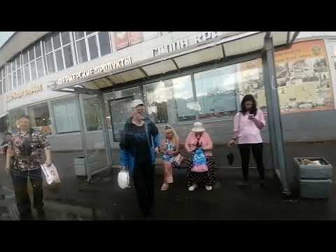 Видео: Автобус 7Л "Ломоносов, вокзал  -  Ломоносов, вокзал"  (Кольцевой)