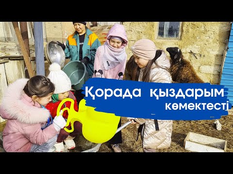 Видео: Vlog. Тауықтарға жем беруге қыздарым көмектесті