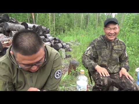 Видео: Испытание нового снегоболотохода Рысь 2. 