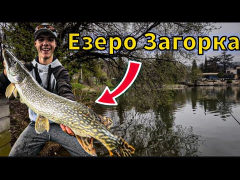 Видео: РИБОЛОВ на ЩУКА и БЯЛА РИБА на Езеро Загорка!