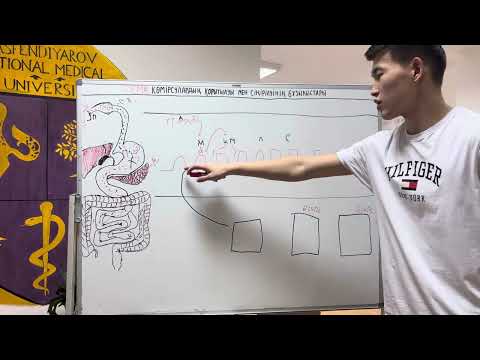 Видео: Көмірсудың қорытылу мен сіңірілуінің бұзылыстары 1-бөлім!