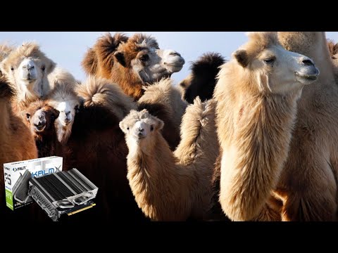 Видео: Palit Geforce RTX 3050 6GB KalmX (и лучшая карта Джокера в 2024 году)