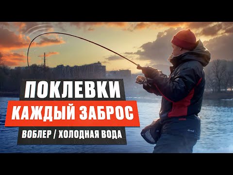 Видео: Как ловить на воблеры по холодной воде? ЗЛЫЕ ПОКЛЕВКИ щук и судаков. Нижняя Москва-река