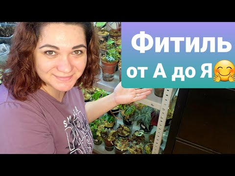 Видео: Фитиль от А до Я