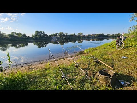 Видео: И СНОВА РЕКА АХТУБА. ДЯДЯ ЛЁША НЕ УСПОКОИТЬСЯ ПОКА НЕ НАЙДЁТ РЫБУ. 