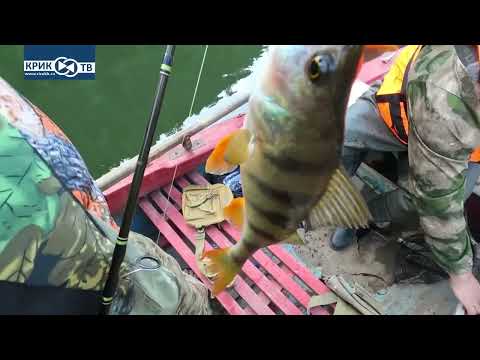 Видео: "Клуб охотников и рыболовов" выпуск 207  Рыбалка на Уфе. День второй