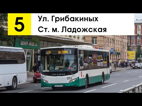 Видео: Автобус 5 "Ст. м. "Ладожская" - ул. Грибакиных" (смена перевозчика)